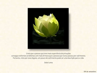 Creio que a pessoa que teve mais experiência de privações consegue enfrentar problemas com mais firmeza que a pessoa que nunca passou por sofrimento. Portanto, visto por esse ângulo, um pouco de sofrimento pode ser uma boa lição para a vida.Dalai Lama08 de setembro