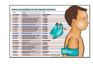 Calendário vacinal atualizado