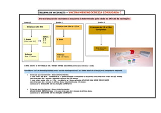 Calendário vacinal atualizado