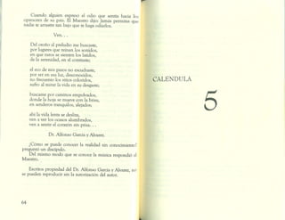 Caléndulas de primavera