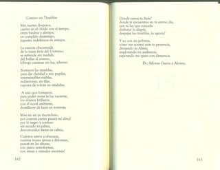 Caléndulas de primavera