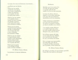 Caléndulas de primavera