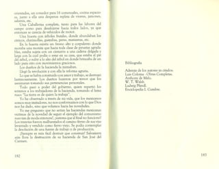 Caléndulas de primavera