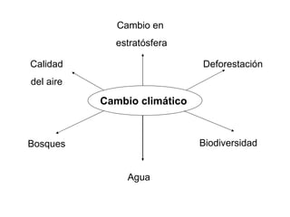 Cambio climático  Bosques  Agua  Calidad  del aire  Cambio en  estratósfera Biodiversidad Deforestación 