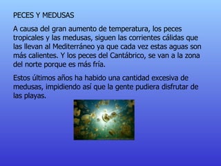 PECES Y MEDUSAS A causa del gran aumento de temperatura, los peces tropicales y las medusas, siguen las corrientes cálidas que las llevan al Mediterráneo ya que cada vez estas aguas son más calientes. Y los peces del Cantábrico, se van a la zona del norte porque es más fría. Estos últimos años ha habido una cantidad excesiva de medusas, impidiendo así que la gente pudiera disfrutar de las playas. 