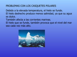 PROBLEMAS CON LOS CASQUETES POLARES Debido a la elevada temperatura, el hielo se funde. El hielo deshecho produce menos salinidad, ya que su agua es dulce. También afecta a las corrientes marinas. El hielo que se funde, también provoca que el nivel del mar sea cada vez más alto. 