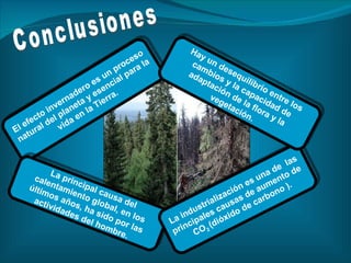 Conclusiones El efecto invernadero es un proceso natural del planeta y esencial para la vida en la Tierra.  La principal causa del calentamiento global, en los últimos años, ha sido por las actividades del hombre.  La industrialización es una de  las principales causas de aumento de  CO 2  (dióxido de carbono ). Hay un desequilibrio entre los cambios y la capacidad de adaptación de la flora y la vegetación. 