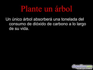 Plante un árbol Un único árbol absorberá una tonelada del consumo de dióxido de carbono a lo largo de su vida. 