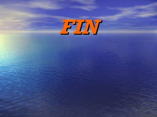 FIN 