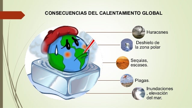 Calentamiento global causas pdf to excel