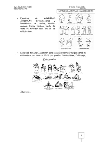 Dpto. EDUCACIÓN FÍSICA 2º ESO 1ª EVALUACIÓN 
IES LAS LAGUNAS 2.014-15 
1 
· Ejercicios de MOVILIDAD 
ARTICULAR: Circunducciones y 
lanzamientos de tobillos, rodillas, 
caderas, tronco, hombros cuello. Se 
trata de movilizar cada una de las 
articulaciones 
· Ejercicios de ESTIRAMIENTO: Será necesario mantener las posiciones de 
estiramiento en torno a 10-15’’ en gemelos, Isquiotibiales, Cuádriceps, 
Aductores… 
 
