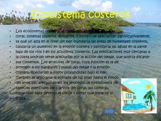 Ecosistema costeros
•   Los ecosistemas costeros —manglares, arrecifes de
•   coral, sistemas playeros, estuarios, y otros— se afectarían significativamente,
•   ya que un alza en el nivel del mar inundaría las áreas de humedales costeros,
•   causaría un aumento en la erosión costera y salinizaría las aguas en la parte
•   baja de los ríos y en los acuíferos costeros. Las edificaciones muy cercanas a
•   la costa podrían verse afectadas por la acción del oleaje, que podría socavar
•   sus cimientos. Los arrecifes de coral, cuya función es la de
•   proteger a los manglares y playas del oleaje y la erosión
•   costera, quedarían a mayor profundidad bajo el mar.
•   También se afectaría la entrada de luz solar hasta el fondo
•   del arrecife, afectando así los procesos de fotosíntesis de
•   especies esenciales para la vida del coral, así como su
•   capacidad para detener el oleaje y evitar que impacte la
•   costa.
 
