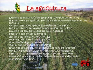 La agricultura
•   Debido a la evaporación de agua de la superficie del terreno y
•   al aumento en la magnitud y frecuencia de lluvias e inundaciones, los
    suelos se
•   tornarán más secos y perderán nutrientes con mayor
•   facilidad al éstos ser removidos por la escorrentía. Esto
•   cambiará las características del suelo, haciendo
•   necesario que los agricultores se
•   ajusten a las nuevas condiciones. La
•   necesidad de recurrir a la irrigación
•   será esencial durante las épocas de
•   sequía, que debido a la evaporación
•   serán más comunes que al presente. Las temperaturas más
•   elevadas también propiciarán la reproducción de algunos
•   insectos como la mosca blanca y las langostas (un tipo de
•   esperanza), que causan enfermedades de plantas y afectan la
•   producción de cultivos.
 