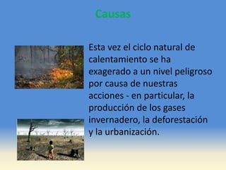 Causas
Esta vez el ciclo natural de
calentamiento se ha
exagerado a un nivel peligroso
por causa de nuestras
acciones - en particular, la
producción de los gases
invernadero, la deforestación
y la urbanización.
 