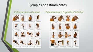 Ejemplos de estiramientos
Calentamiento General Calentamiento EspecíficoVoleibol
 