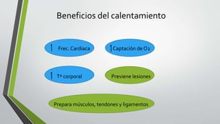 Beneficios del calentamiento
Frec. Cardiaca Captación de O2
Tº corporal Previene lesiones
Prepara músculos, tendones y ligamentos
 