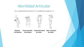 Movilidad Articular
En un calentamiento de unos 6’-7’,no debería ser superior a 1’.
 