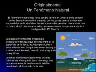Originalmente  Un Fenómeno Natural El fenómeno natural que hace posible la vida en la tierra, se le conoce como  Efecto Invernadero,  causado por los gases que se encuentran suspendidos en la atmósfera terrestre los cuales permiten que el calor que produce el sol, queden atrapados manteniendo una temperatura media a nivel global de 15º C aprox. Los gases invernaderos ayudan a la evaporación del agua que se encuentra en la superficie de la tierra, ayudado por nubes y estas mismas son las que devuelven esa agua a la tierra manteniendo un ciclo vital y logrando un equilibrio. Lo antes mencionado a permitido durante millones de años que la tierra mantenga una temperatura media relativamente estable permitiendo el desarrollo de la vida. 