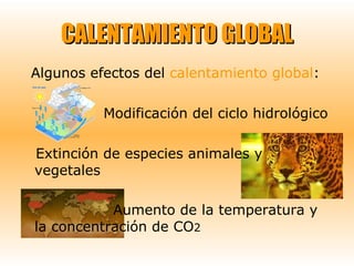 CALENTAMIENTO GLOBAL Algunos efectos del  calentamiento global : Modificación del ciclo hidrológico Extinción de especies animales y vegetales Aumento de la temperatura y la concentración de CO 2 