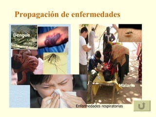 Propagación de enfermedades Dengue Malaria Enfermedades respiratorias 
