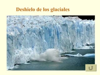 Deshielo de los glaciales 
