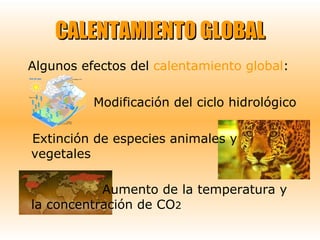 CALENTAMIENTO GLOBAL Algunos efectos del  calentamiento global : Modificación del ciclo hidrológico Extinción de especies animales y vegetales Aumento de la temperatura y la concentración de CO 2 