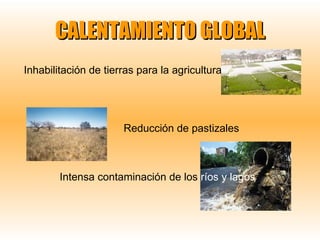 CALENTAMIENTO GLOBAL Inhabilitación de tierras para la agricultura   Reducción de pastizales  Intensa contaminación de los  ríos y   lagos 