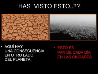 HAS  VISTO ESTO..?? AQUÍ HAY  UNA CONSECUENCIA EN OTRO LADO  DEL PLANETA. ESTO ES  PAN DE CADA DÍA EN LAS CIUDADES. 