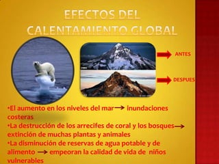 ANTES



                                                      DESPUES




•El aumento en los niveles del mar     inundaciones
costeras
•La destrucción de los arrecifes de coral y los bosques
extinción de muchas plantas y animales
•La disminución de reservas de agua potable y de
alimento      empeoran la calidad de vida de niños
vulnerables
 