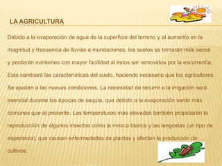La agriculturaDebido a la evaporación de agua de la superficie del terreno y al aumento en la magnitud y frecuencia de lluvias e inundaciones, los suelos se tornarán más secos y perderán nutrientes con mayor facilidad al éstos ser removidos por la escorrentía. Esto cambiará las características del suelo, haciendo necesario que los agricultores Se ajusten a las nuevas condiciones. La necesidad de recurrir a la irrigación será esencial durante las épocas de sequía, que debido a la evaporación serán más comunes que al presente. Las temperaturas más elevadas también propiciarán la reproducción de algunos insectos como la mosca blanca y las langostas (un tipo deesperanza), que causan enfermedades de plantas y afectan la producción de cultivos.