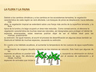 La flora y la faunaDebido a los cambios climáticos y a los cambios en los ecosistemas terrestres, la vegetación característica de cada región se verá afectada. Los bosques de pinos se desplazarán hacia latitudes más altas, la vegetación tropical se extenderá sobre una franja más ancha de la superficie terrestre, y la flora típica de la tundra y la taiga ocupará un área más reducida.  Como consecuencia, al alterarse la vegetación característica de muchas reservas naturales, así designadas para proteger el hábitat de especies amenazadas, estas reservas podrían dejar de ser el hábitat ideal para las mismas, ocasionando su extinción. De igual manera, al ocurrir el proceso de desertificación en algunas áreas también se Destruirá el hábitat de muchas especies, causando su extinción.En cuanto a los hábitats acuáticos, al aumentar la temperatura de los cuerpos de agua superficiales la concentración de oxígeno disuelto presente en los mismos se reducirá. Esto hará que algunas de las especies acuáticas no puedan sobrevivir bajo estas condiciones, causando su eliminación en dichos cuerpos de agua. De afectarse los estuarios y manglares por el exceso de salinización y el oleaje, muchas especies de animales que inician su vida allí tampoco subsistirán.