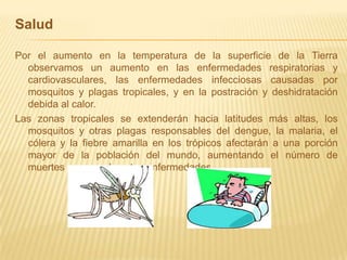 Salud Por el aumento en la temperatura de la superficie de la Tierra  observamos un aumento en las enfermedades respiratorias y cardiovasculares, las enfermedades infecciosas causadas por mosquitos y plagas tropicales, y en la postración y deshidratación debida al calor. Las zonas tropicales se extenderán hacia latitudes más altas, los mosquitos y otras plagas responsables del dengue, la malaria, el cólera y la fiebre amarilla en los trópicos afectarán a una porción mayor de la población del mundo, aumentando el número de muertes a causa de estas enfermedades.