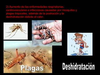 2) Aumento de las enfermedades respiratorias,
cardiovasculares e infecciosas causadas por mosquitos y
plagas tropicales, además de la postración y la
deshidratación debida al calor.

 
