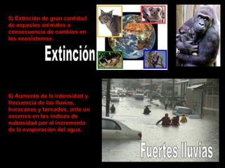 5) Extinción de gran cantidad
de especies animales a
consecuencia de cambios en
los ecosistemas.

6) Aumento de la intensidad y
frecuencia de las lluvias,
huracanes y tornados, ante un
ascenso en los índices de
nubosidad por el incremento
de la evaporación del agua.

 
