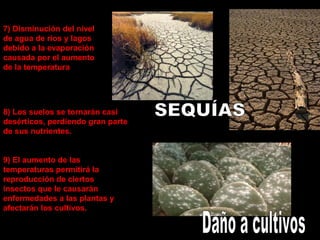 7) Disminución del nivel
de agua de ríos y lagos
debido a la evaporación
causada por el aumento
de la temperatura

8) Los suelos se tornarán casi
desérticos, perdiendo gran parte
de sus nutrientes.
9) El aumento de las
temperaturas permitirá la
reproducción de ciertos
insectos que le causarán
enfermedades a las plantas y
afectarán los cultivos.

 