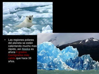Las regiones polares del planeta se están calentando mucho mas rápido, así  Alaska  es ahora  6 grados Centígrados más calida  que hace 35 años.  