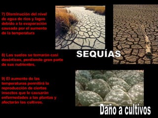 8) Los suelos se tornarán casi desérticos, perdiendo gran parte de sus nutrientes. 9) El aumento de las temperaturas permitirá la reproducción de ciertos insectos que le causarán enfermedades a las plantas y afectarán los cultivos. 7) Disminución del nivel de agua de ríos y lagos debido a la evaporación causada por el aumento de la temperatura  SEQUÍAS Daño a cultivos 