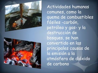 Actividades humanas comunes, como la quema de combustibles fósiles -carbón, petróleo y gas- y la destrucción de bosques, se han convertido en las principales causas de la emisión a la atmósfera de dióxido de carbono 