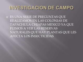 INVESTIGACION DE CAMPOES UNA SERIE DE PREGUNTAS QUE REALIZAMOS EN LAS COLONIAS DE TAPACHULA CHIAPAS MEXICO YA QUE FUIMOS A VER LAS RESERVAS NATURALES QUE HAY PLANTAS QUE LES AFECTA LOS INSECTICIDAS