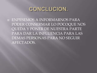 CONCLUCION.ENPESEMOS A INFORMARNOS PARA PODER CONSERMAR LO POCOQUE NOS QUEDA Y PONER DE NUESTRA PARTE PARA DAR LA INFLUENCIA PARA LAS DEMAS PERSONAS PARA NO SEGUIR AFECTADOS.