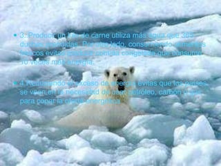 3..Producir un kilo de carne utiliza más agua que 365 duchas prendidas. Por otro lado, consumiendo alimentos frescos evitas producir comida congelada que consume 10 veces más energía. 4.Reduciendo el exceso de energía evitas que los países se vean en la necesidad de usar petróleo, carbón o gas para copar la oferta energética