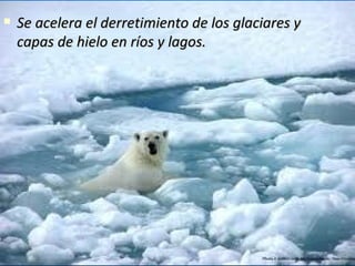 Se acelera el derretimiento de los glaciares y capas de hielo en ríos y lagos.  