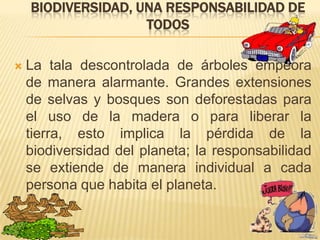 BIODIVERSIDAD, UNA RESPONSABILIDAD DE
                    TODOS

   La tala descontrolada de árboles empeora
    de manera alarmante. Grandes extensiones
    de selvas y bosques son deforestadas para
    el uso de la madera o para liberar la
    tierra, esto implica la pérdida de la
    biodiversidad del planeta; la responsabilidad
    se extiende de manera individual a cada
    persona que habita el planeta.
 