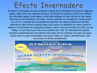 El efecto invernadero es una condición natural de la atmósfera de la tierra. Algunos
 gases, tales como los vapores de agua, el dióxido de carbono (CO2) y el metano
 son llamados gases invernadero, pues ellos atrapan el calor del sol en las capas
 inferiores de la atmósfera. Sin ellos, nuestro planeta se congelaría y nada podría
   vivir en él. A medida que el planeta se calienta, los cascos polares se derriten.
  Además el calor del sol cuando llega a los polos, es reflejado de nuevo hacia el
espacio. Al derretirse los casquetes polares, menor será la cantidad de calor que se
    refleje, lo que hará que la tierra se caliente aún más. El calentamiento global
 también ocasionará que se evapore más agua de los océanos. El vapor de agua
   actúa como un gas invernadero. Así pues, habrá un mayor calentamiento, que
                           provocará un efecto amplificador.
 