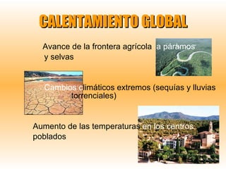 CALENTAMIENTO GLOBAL Avance de la frontera agrícola  a páramos   y selvas Cambios   c limáticos extremos (sequías y lluvias    torrenciales) Aumento de las temperaturas  en los centros   poblados 