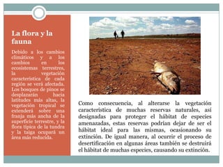La flora y la
fauna
Debido a los cambios
climáticos y a los
cambios        en      los
ecosistemas terrestres,
la            vegetación
característica de cada
región se verá afectada.
Los bosques de pinos se
desplazarán          hacia
latitudes más altas, la
vegetación tropical se       Como consecuencia, al alterarse la vegetación
extenderá sobre una          característica de muchas reservas naturales, así
franja más ancha de la       designadas para proteger el hábitat de especies
superficie terrestre, y la   amenazadas, estas reservas podrían dejar de ser el
flora típica de la tundra
y la taiga ocupará un        hábitat ideal para las mismas, ocasionando su
área más reducida.           extinción. De igual manera, al ocurrir el proceso de
                             desertificación en algunas áreas también se destruirá
                             el hábitat de muchas especies, causando su extinción.
 
