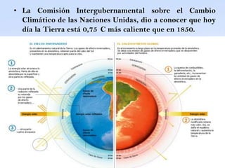 • La Comisión Intergubernamental sobre el Cambio
  Climático de las Naciones Unidas, dio a conocer que hoy
  día la Tierra está 0,75 C más caliente que en 1850.
 