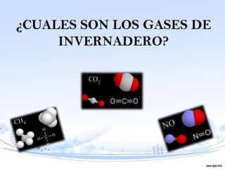 ¿CUALES SON LOS GASES DE
     INVERNADERO?
 