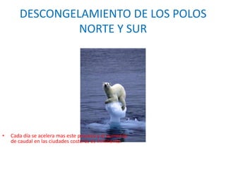 DESCONGELAMIENTO DE LOS POLOS
                NORTE Y SUR




•   Cada día se acelera mas este proceso y el aumento
    de caudal en las ciudades costeras es inminente.
 