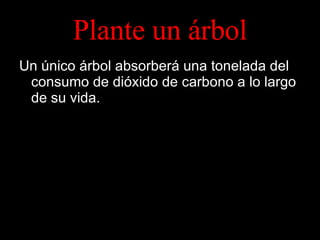 Plante un árbol Un único árbol absorberá una tonelada del consumo de dióxido de carbono a lo largo de su vida. 